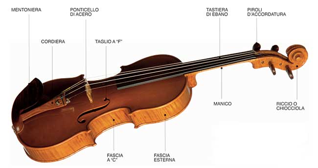 parti del violino
