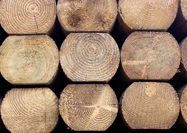 tipi di legno, vari tipi di legno, formati legno, tavole di legno, travi di legno, listelli di legno, perline di legno tondini di legno, prefiniti di legno