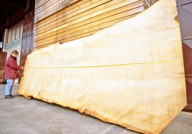 In Che Modo Si Ricavano Le Tavole Di Legno