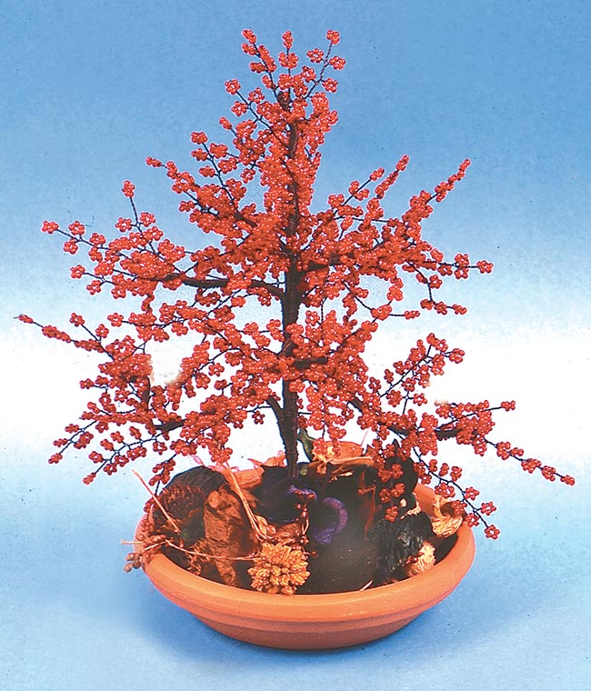 bonsai di perline