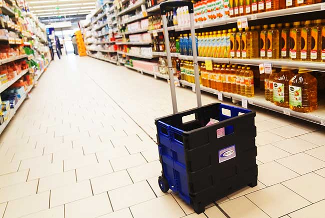 Falytemow Carrello Spesa Pieghevole Con Ruote | Borsa Trolley In Oxford Impermeabile, 41L, Manico Telescopico, Borsa Bazar